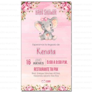 invitacion baby shower elefantito niña